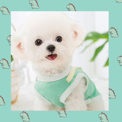 Summer Pet Cute Breathable Vest