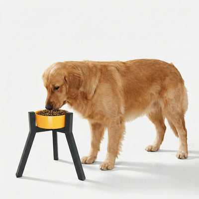 Metal Adjustable Width Raised Dog Bowl Stand