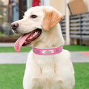 Rhinestone Leather Dog Collars