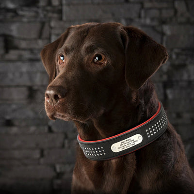 Rhinestone Leather Dog Collars