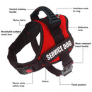 Customizable Name K9 Dog Harness