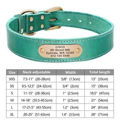 Custom Dog Collar Leather