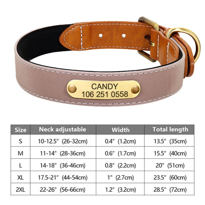 Custom Dog Collar Leather