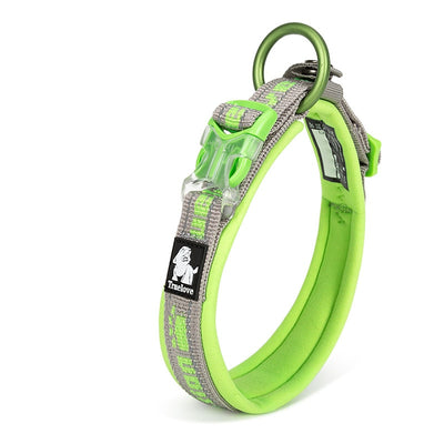 Embroider Neoprene Pet Dog Collar