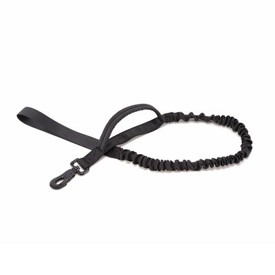 Elastic Buffer Strong Dog Leash