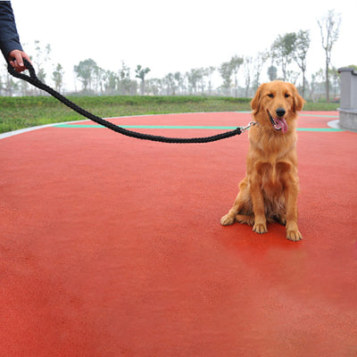 Nylon Dog Harness Leash