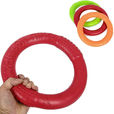 Dog Rally Ring