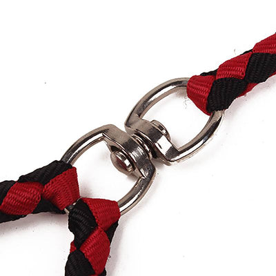 2 Way Braided Nylon Dual Dog Leash