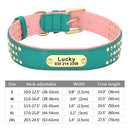 Rhinestone Leather Dog Collars