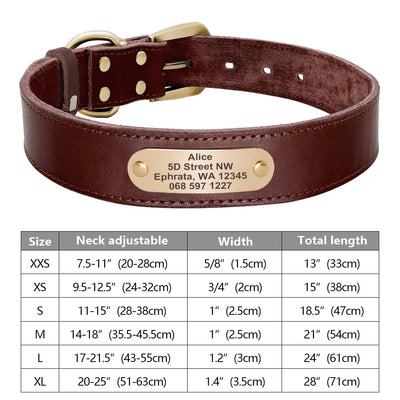Custom Dog Collar Leather