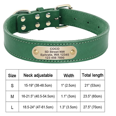 Custom Dog Collar Leather