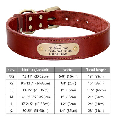 Custom Dog Collar Leather