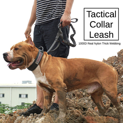 Tactical Dog Collar Leash