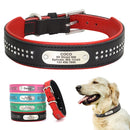 Rhinestone Leather Dog Collars