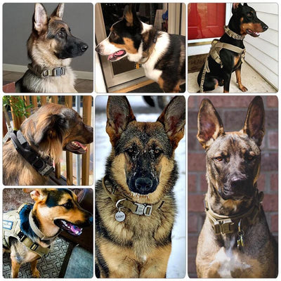 Dog Adjustable Tactical Dog Collar