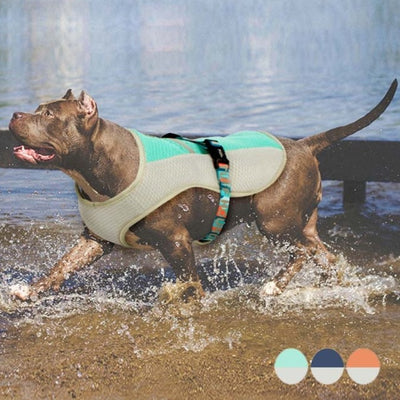 Dog Vest Summer Cooling Harness