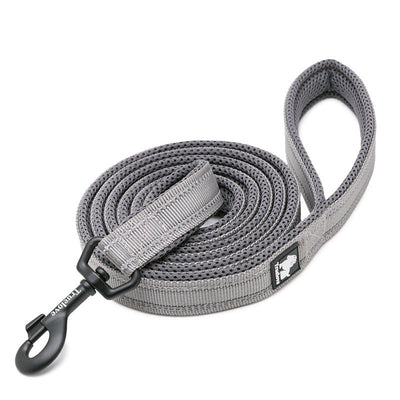 Reflective Nylon Soft Dog Leash