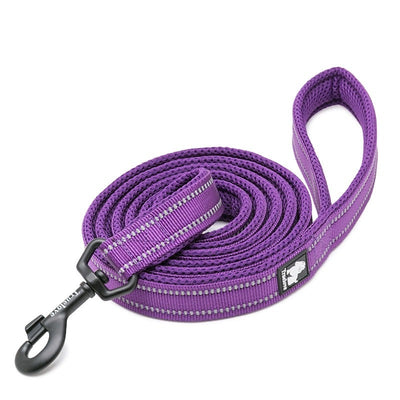 Reflective Nylon Soft Dog Leash