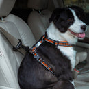 Vehicle Car Dog Seat Belt Lock