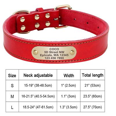 Custom Dog Collar Leather