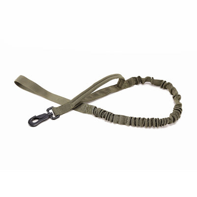 Elastic Buffer Strong Dog Leash