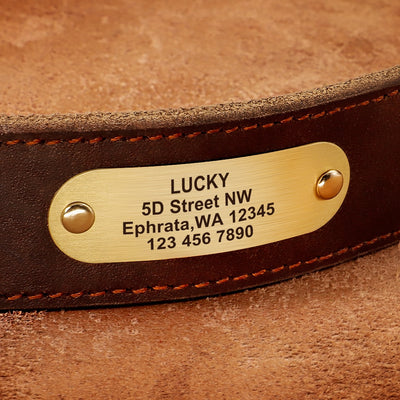 Custom Dog Collar Leather