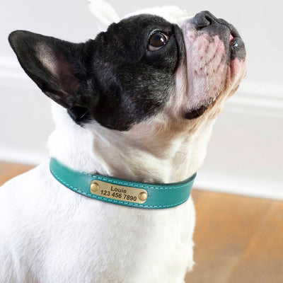 Custom Dog Collar Leather