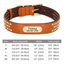 Rhinestone Leather Dog Collars