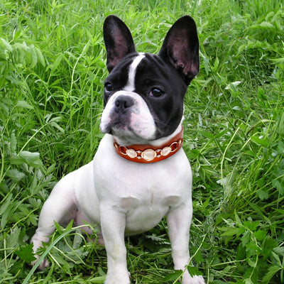 Rhinestone Cool Metal Leather Dogs Collars