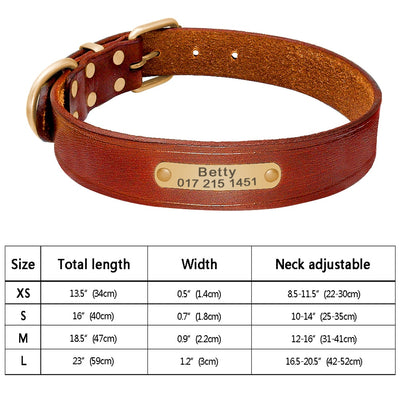 Custom Dog Collar Leather