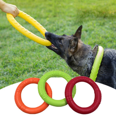 Dog Rally Ring