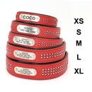 Rhinestone Leather Dog Collars