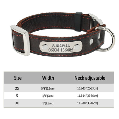 Custom Dog Collar Leather