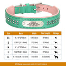 Rhinestone Leather Dog Collars