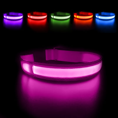 Luminous LED Dog Collar