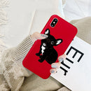 Cute Frenchie Puppy iPhone Case