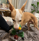 Pet Dog Squeaky Chew Toys