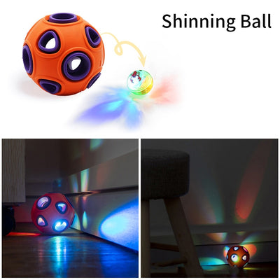 Dog Funny Interactive Ball