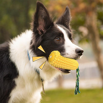 Corn Toothbrush Chewing Dog Toys