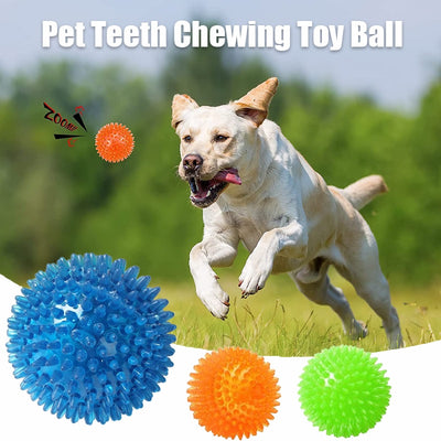 Polka Squeaky Tooth Cleaning Ball