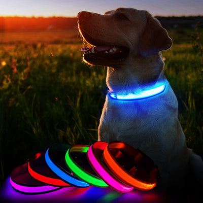 Luminous LED Dog Collar