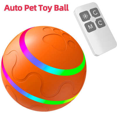 Dog Interactive Toys Ball