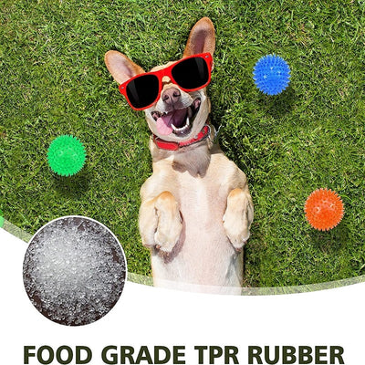 Polka Squeaky Tooth Cleaning Ball