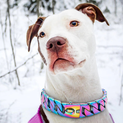 Stainless Steel Strong Dog Chain Collars