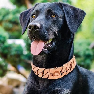 Stainless Steel Strong Dog Chain Collars