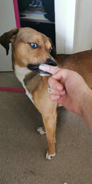 Super Soft Pet Finger Toothbrush