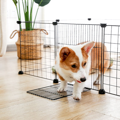 Dog Safety Fence Cage