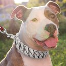 Stainless Steel Strong Dog Chain Collars