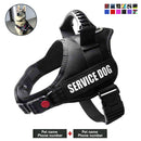 Customizable Name K9 Dog Harness