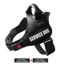 Customizable Name K9 Dog Harness